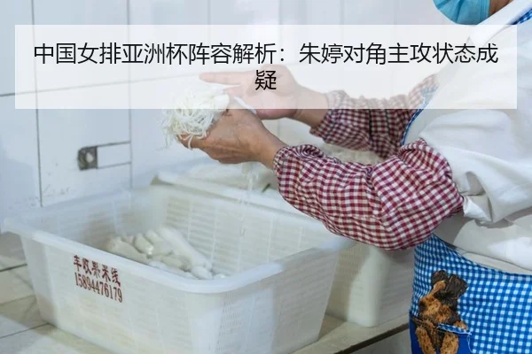 中国女排亚洲杯阵容解析：朱婷对角主攻状态成疑