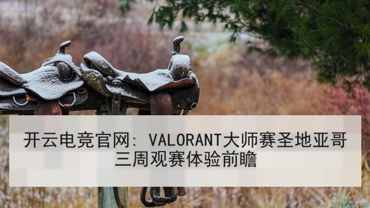 开云电竞官网: VALORANT大师赛圣地亚哥三周观赛体验前瞻 开云电竞官网: VALORANT大师赛圣地亚哥三周观赛体验前瞻